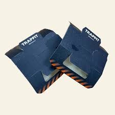 Liima-ansa Trappit Bed bug lutikoille, 10kpl pakkaus.